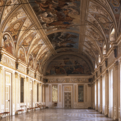 Immagine evento PALAZZO DUCALE E MUSEO ARCHEOLOGICO (SENZA CASTELLO DI SAN GIORGIO E CAMERA DEGLI SPOSI)