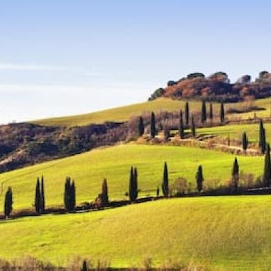 Immagine evento Val D'Orcia, Montepulciano e Pienza: Gita di un giorno da Firenze