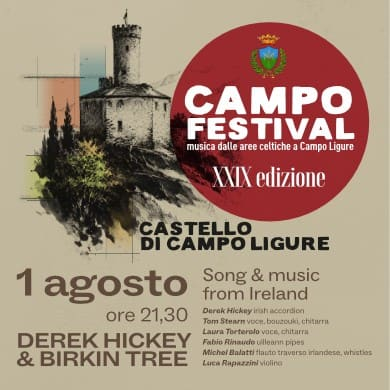 Immagine evento DEREK HICHEY & BIRKIN TREE