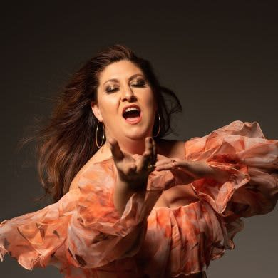 Immagine evento CONCERTO DI GALA
