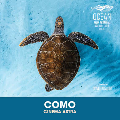 Locandina evento OCEAN FILM FESTIVAL WORLD TOUR ITALIA 2026