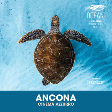 Locandina evento OCEAN FILM FESTIVAL WORLD TOUR ITALIA 2026