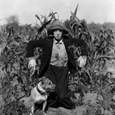 Immagine evento ENSEMBLE MULTILATÉRALE / LEO WARYNSKI DIRETTORE  - SCARECROW