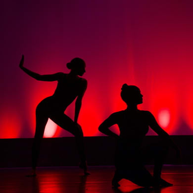 Immagine evento FESTA DELLA DANZA