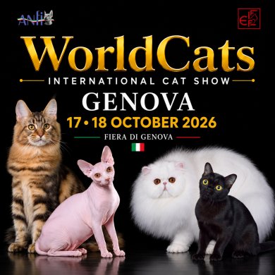 Locandina evento World Cats 2026