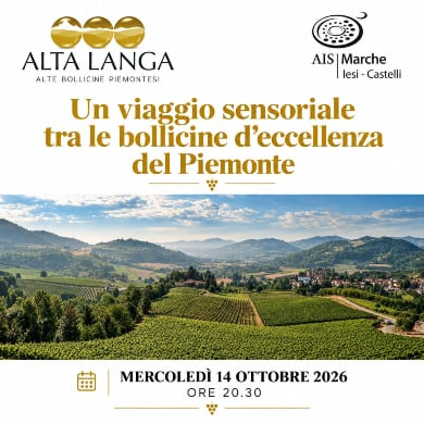 ALTA LANGA (14.10.2026) | NON SOCIO