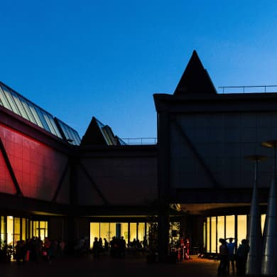 CENTRO PECCI SCHOOL - ARTE+CINEMA 26