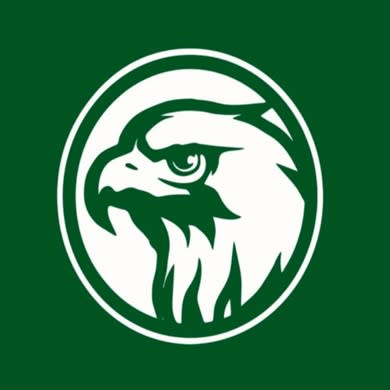FALCONARESE 1919 - ATLETICO CONERO